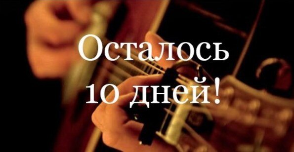 THW Global отзывы
