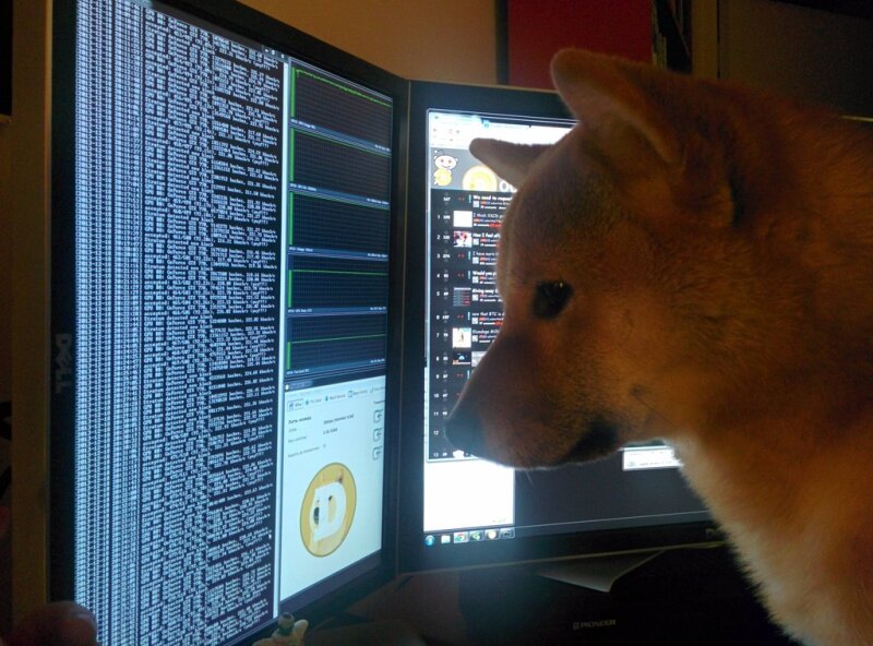 DOGE за майнингом